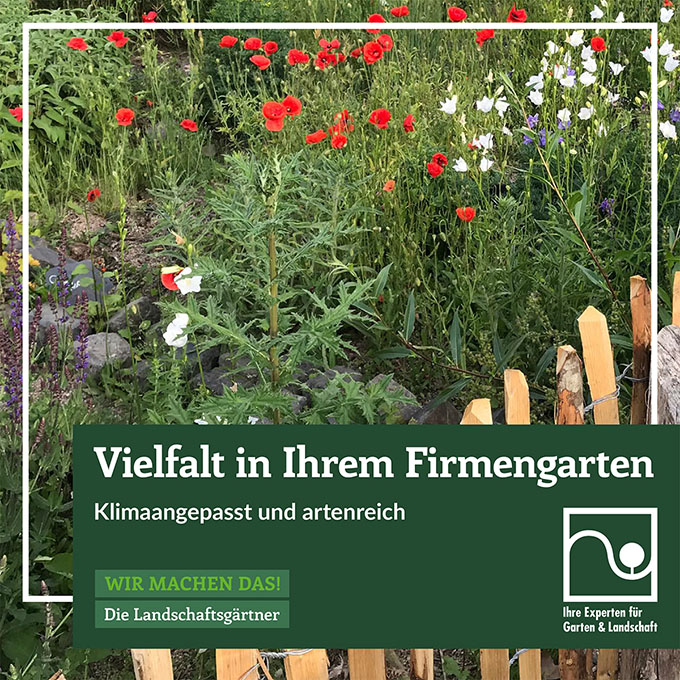 Vielfalt in Ihrem Firmengarten – Klimaangepasst und artenreich