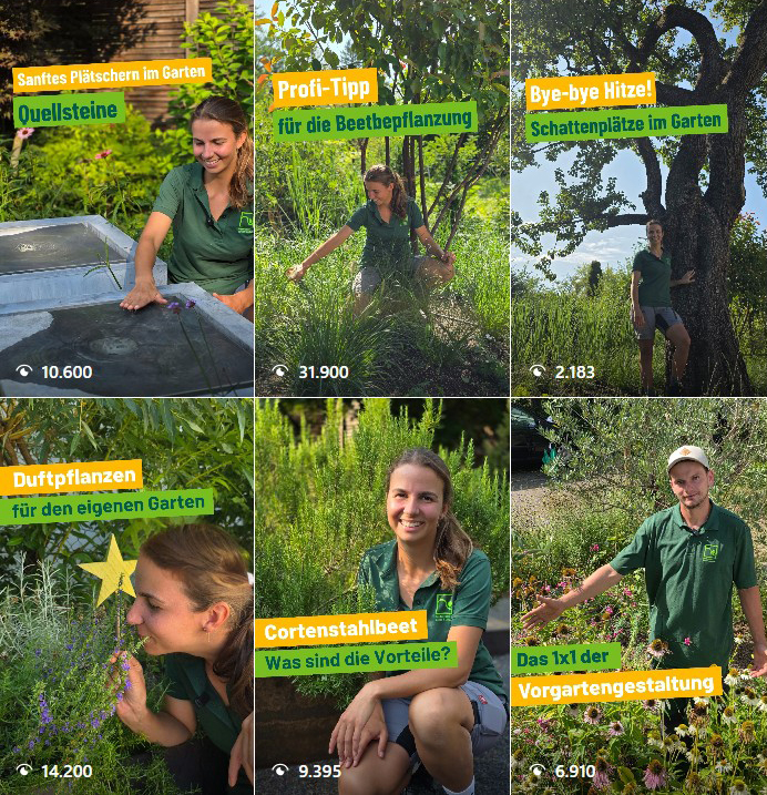 Pinterest Kanal von mein-traumgarten de